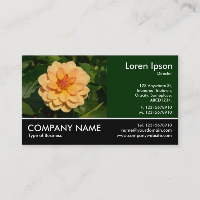Footed Photo - Dahlia 'David Howard' Business Card (Front)