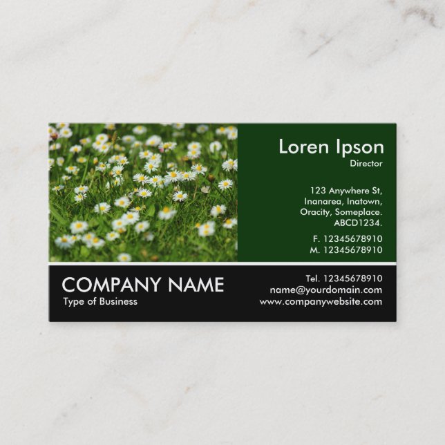Footed Photo - Daisy Meadow Business Card (Front)