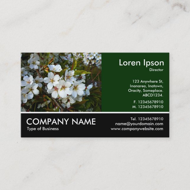 Footed Photo - Dk Green - Cherry Blossom Business Card (Front)