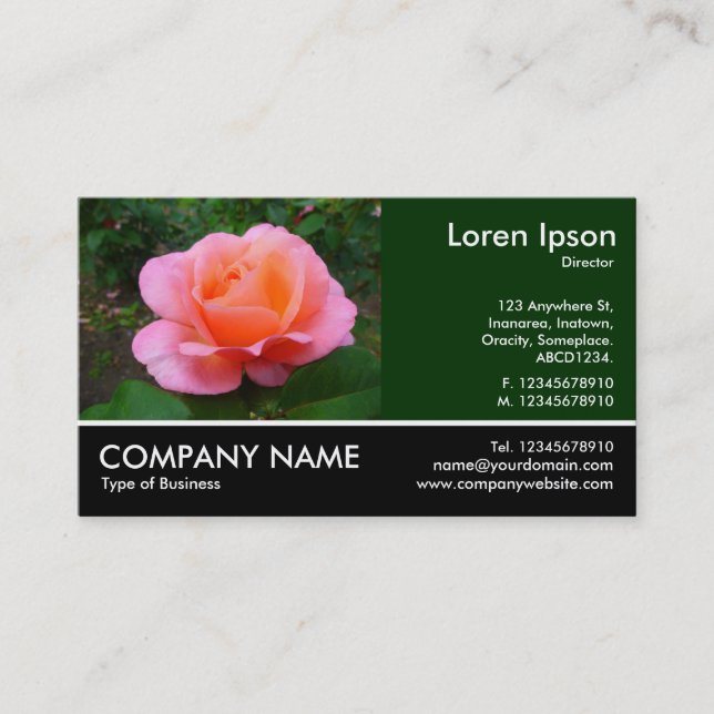 Footed Photo - Dk Green - Pink Rose Business Card (Front)