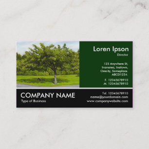Footed Photo - Dk Green - Summer in the Park (Pain Business Card
