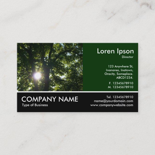 Footed Photo - Dk Green - Sun Through Trees Business Card (Front)