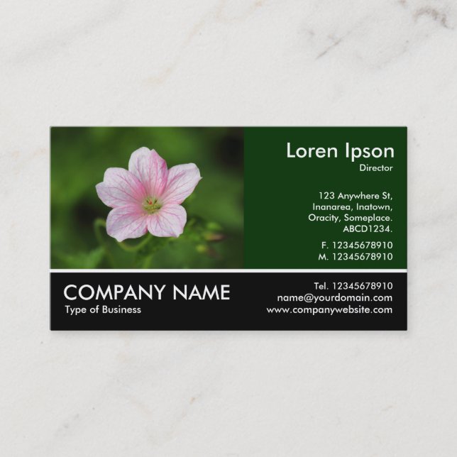 Footed Photo - Geranium Business Card (Front)