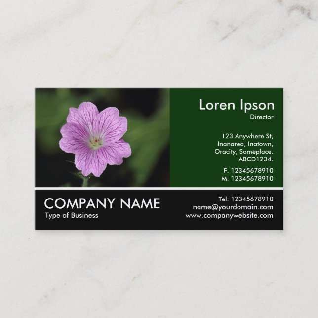 Footed Photo - Geranium Endressii Business Card (Front)
