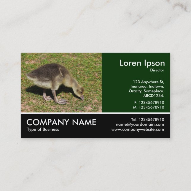 Footed Photo - Gosling Business Card (Front)