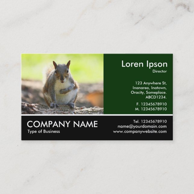 Footed Photo - Grey Squirrel Business Card (Front)