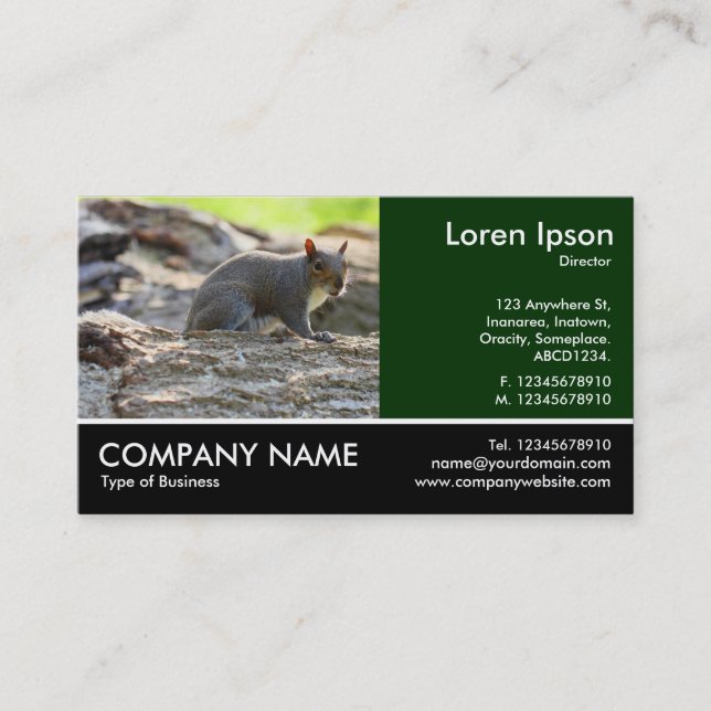 Footed Photo - Grey Squirrel Business Card (Front)