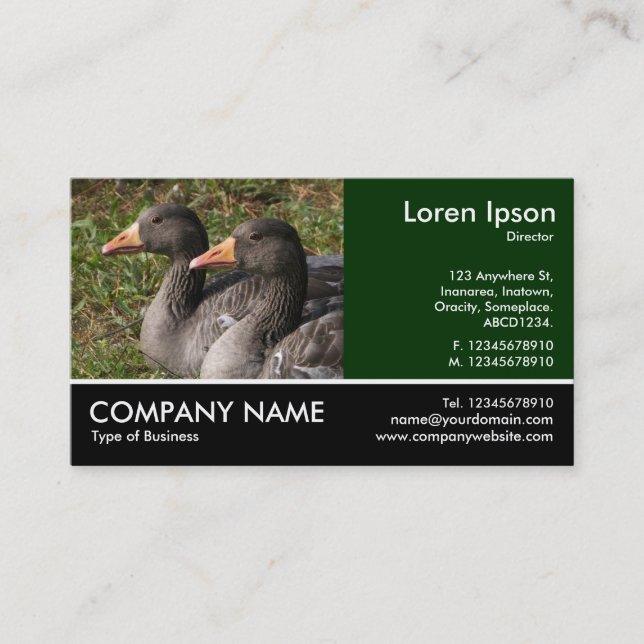 Footed Photo - Greylag Geese Business Card (Front)