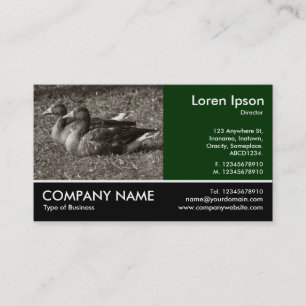 Footed Photo - Greylag Geese (Sepia) Business Card