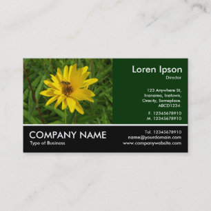 Footed Photo - Hover Fly on a Yellow Chrysanthemum Business Card