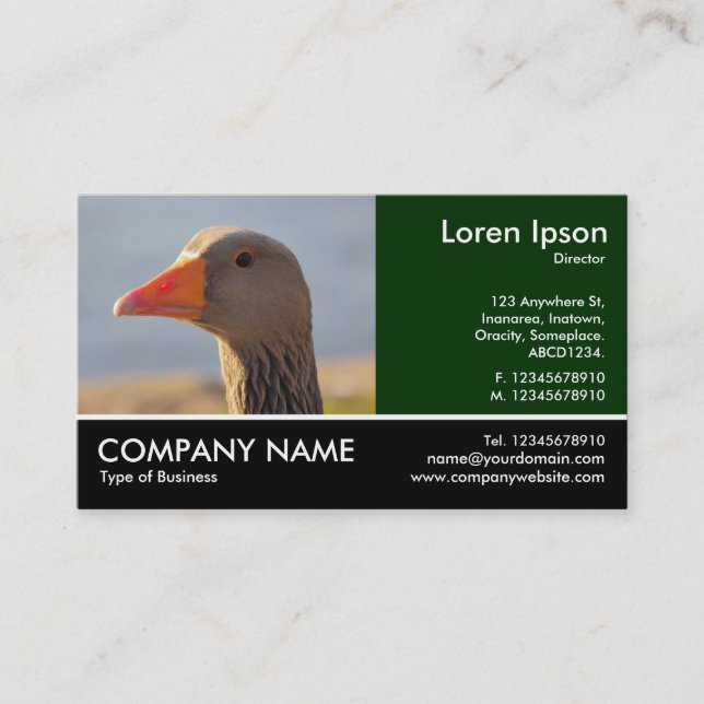 Footed Photo - Inquisitive Goose Business Card (Front)