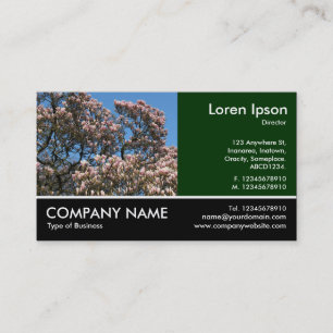 Footed Photo - Magnolia Tree in Blossom Business Card