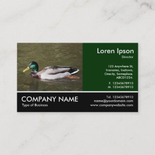 Footed Photo - Mallard Duck Business Card