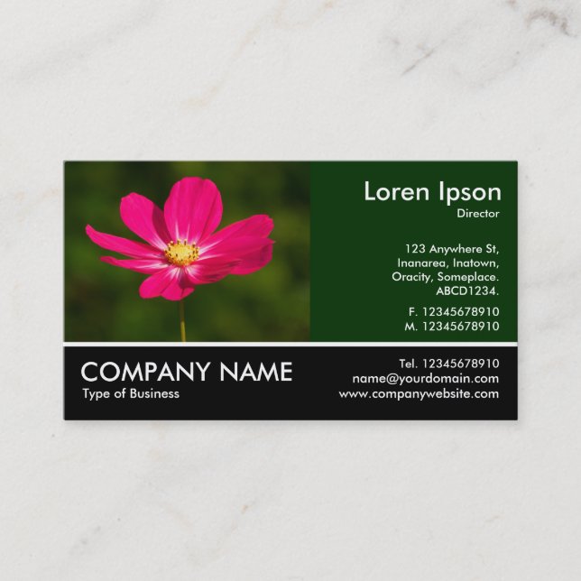 Footed Photo - Pink Cosmos Business Card (Front)