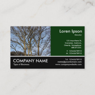 Footed Photo - Sunlit Branches Business Card
