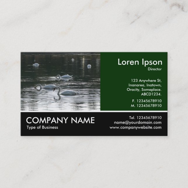 Footed Photo - Swans Business Card (Front)