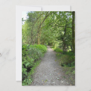 Footpath Through Woods on Isle of Bute Scotland Holiday Card