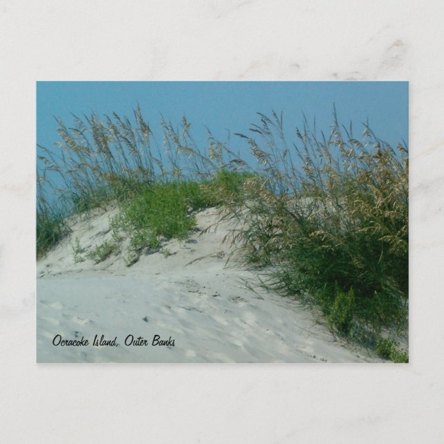 Footprints and Sand Dunes, Okracoke Island, NC Postcard (Front)