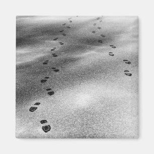 Footprints in Snow Magnet