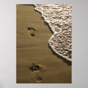 Footprints in the Sand Poster