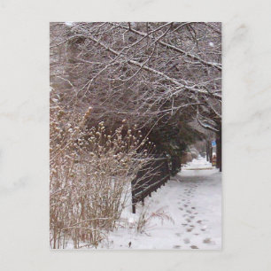 Footprints in the snow. postcard