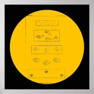 Footprints of Triasic Dinosaurs Poster