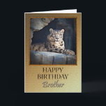 For a brother a Birthday with a snow leopard Card<br><div class="desc">A birthday card for a brother showing a regal snow leopard lying in his cave.</div>