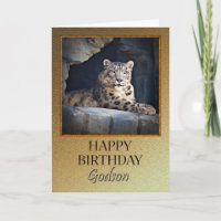 For a Godson a Birthday with a snow leopard