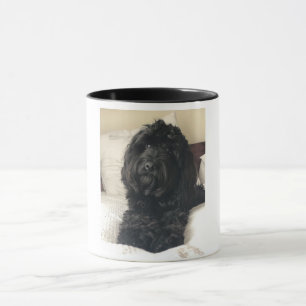For all dog lovers mug