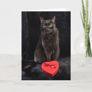 For Anyone Happy Valentines Day Cute Black Cat  Holiday Card