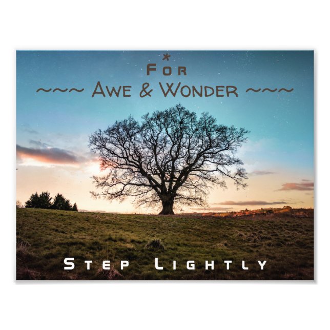 For Awe & Wonder, Step Lightly Tree Photo Print (Front)