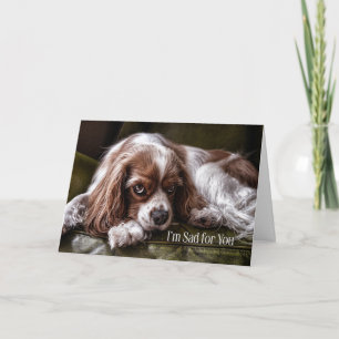 For Children Sympathy Sad Cocker Spaniel Card