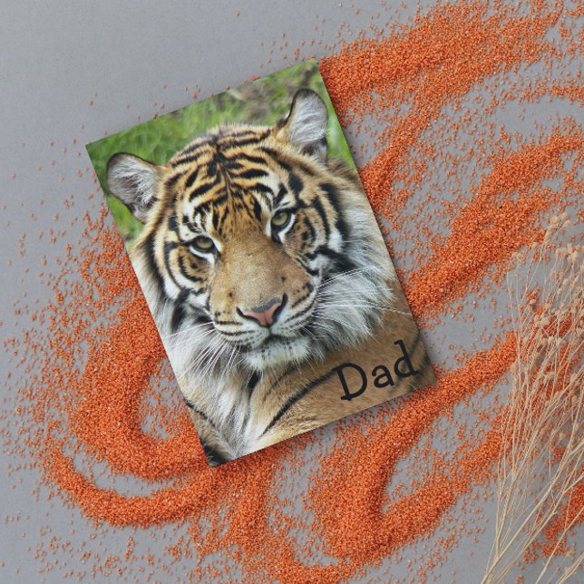 For Dad Big Cat Tiger Wildlife Birthday Card (In Situ)