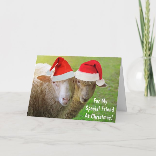 For Friend Christmas Sheep Holiday Card (Front)