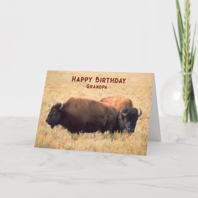 For Grandpa Birthday with a Pair of Bison Card (Front)
