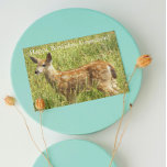 For Grandson Deer Fawn Wildlife Birthday Card<br><div class="desc">Words of wisdom accompany this nature themed birthday card for a young grandson and features the photo image of cute,  little baby deer fawn. Select your card finish style.</div>