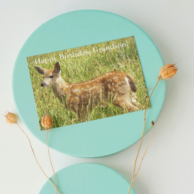 For Grandson Deer Fawn Wildlife Birthday Card (In Situ)