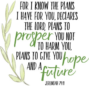 i know plans have