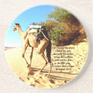 For I know the plans I have .... Jeremiah 29:11 Coaster