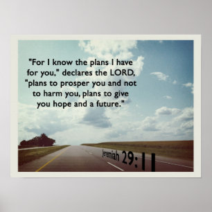 For I know the plans... Poster