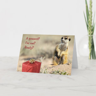 For me? - A KMP Christmas Card