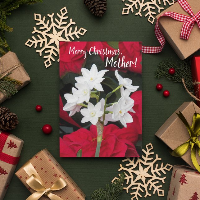 For Mother Poinsettias and Paperwhites Christmas Card (In Situ Holiday)