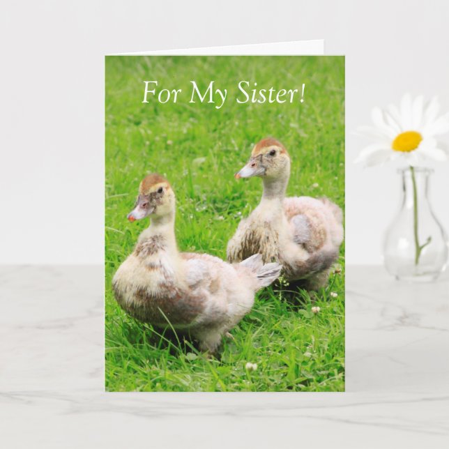 For My Sister Cancer Support Duckling Card (Small Plant)