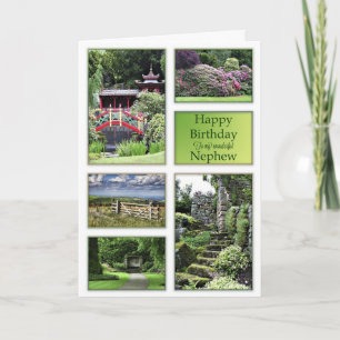 For Nephew, a birthday card with garden views