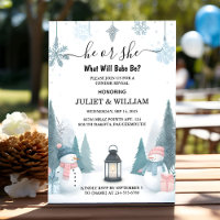 For Rustic Snow Cold Ice Cosy Winter Gender Reveal