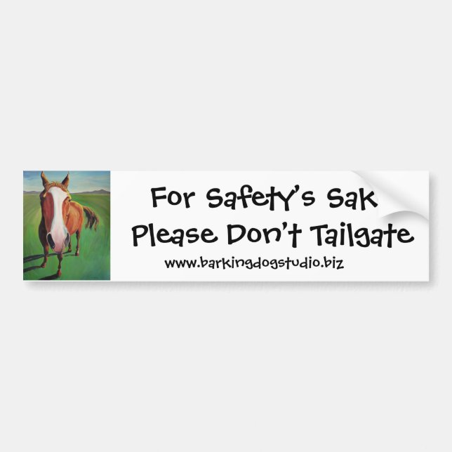 For Safety’s SakePlease Don’t Tailgate... Bumper Sticker (Front)