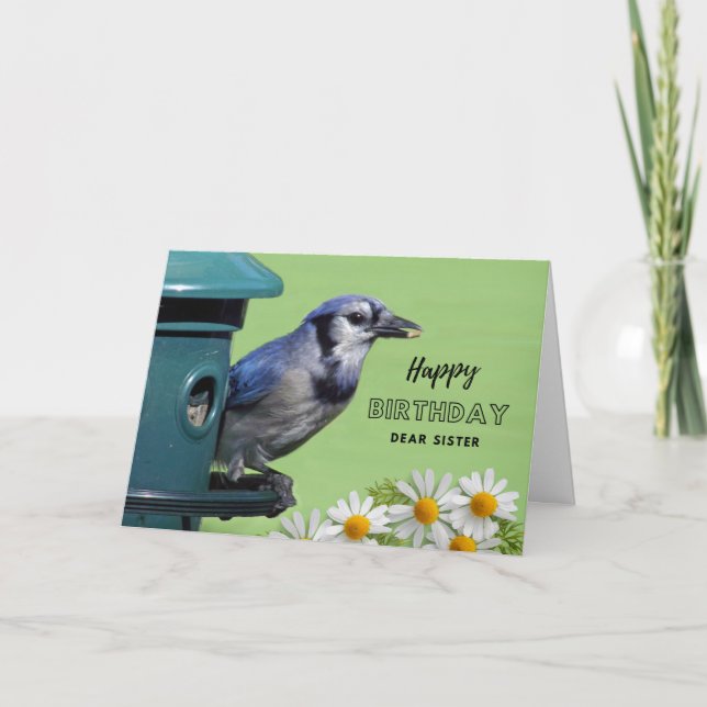 For Sister Birthday with Blue Jay at Feeder Card (Front)