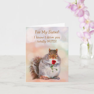 For Sister Funny Squirrel Birthday Card