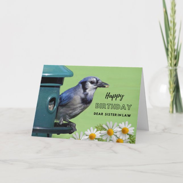 For Sister in Law Birthday with Blue Jay at Feeder Card (Front)