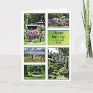 For Son, a birthday card with garden views